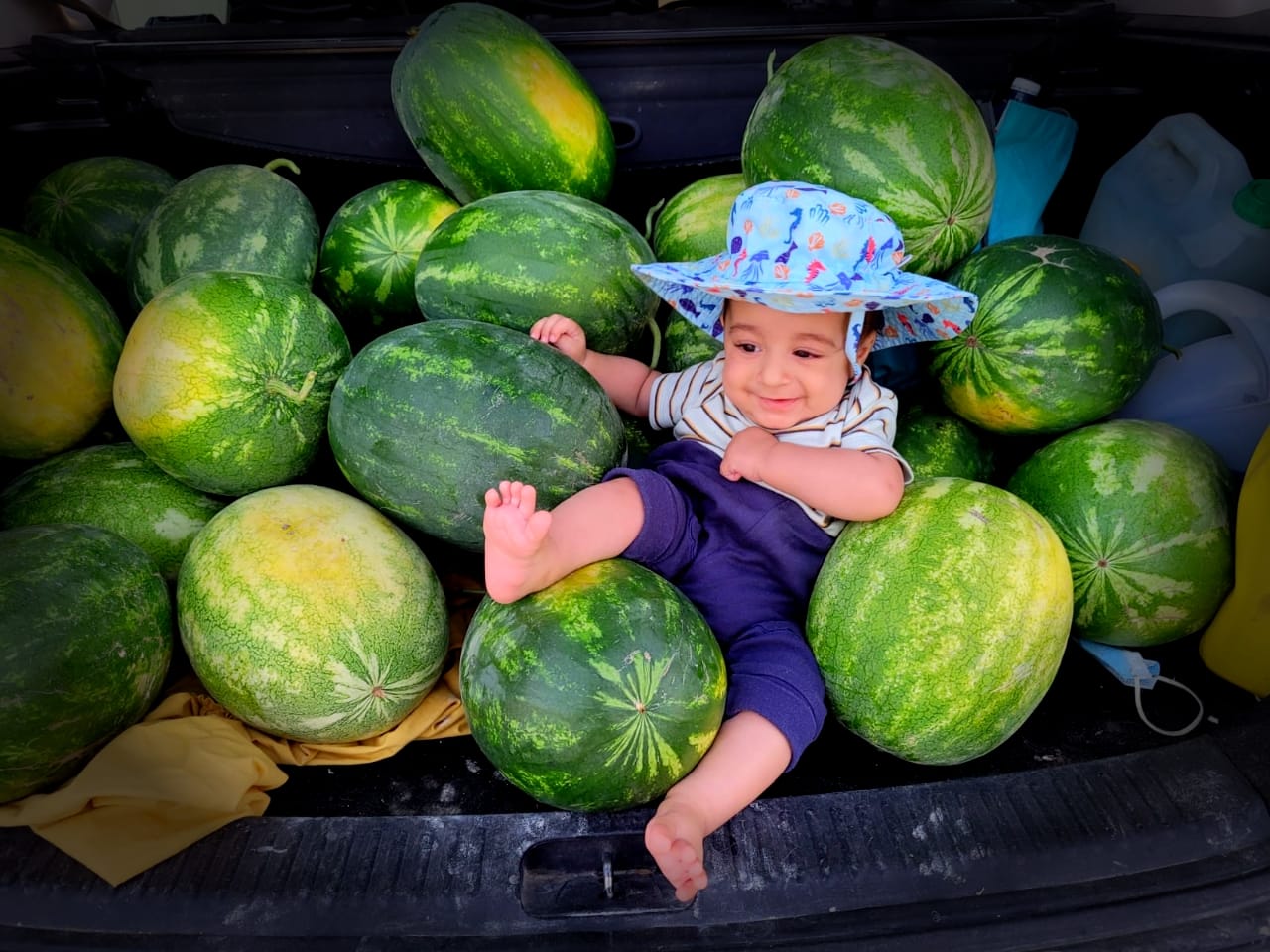 עברי אליהו לוי