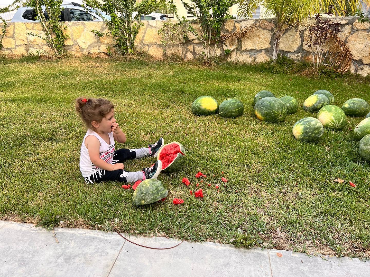 שמואל קלימי